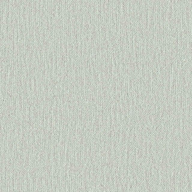 Designtex 3891-501 Mint