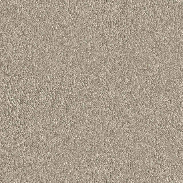 Designtex 3919-103 Fossil