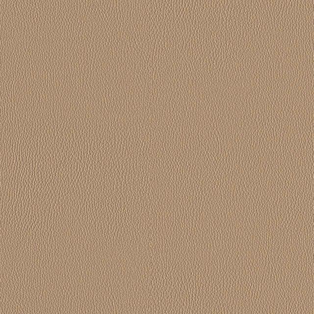 Designtex 3919-105 Latte シリコン