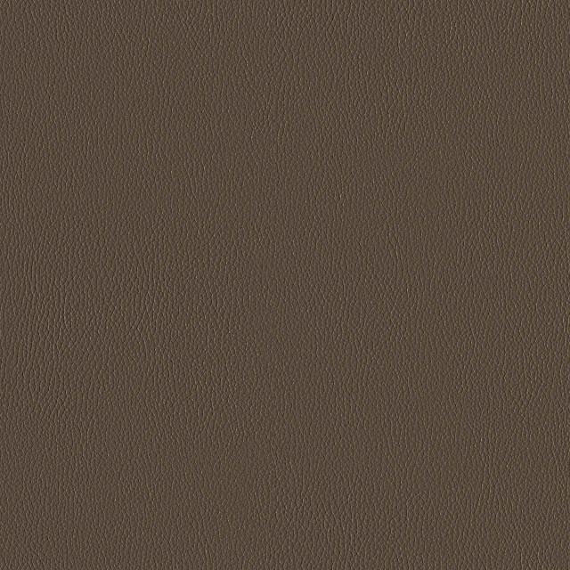 Designtex 3919-110 Roast シリコン