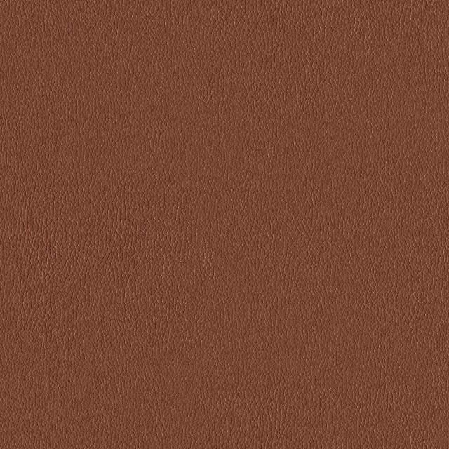 Designtex 3919-111 Gingersnap