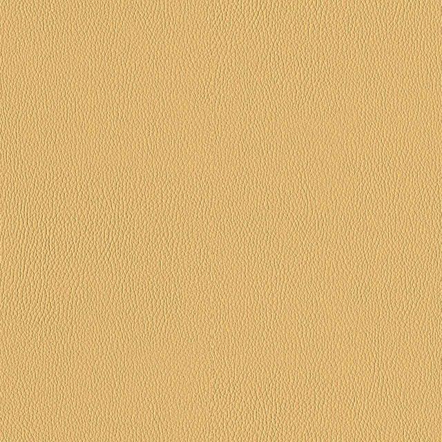 Designtex 3919-203 Vicuna