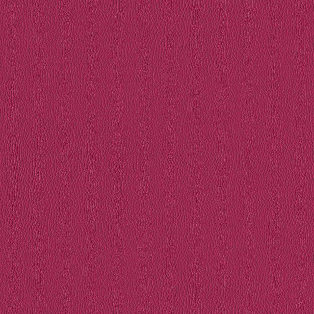 Designtex 3919-306 Petal シリコン