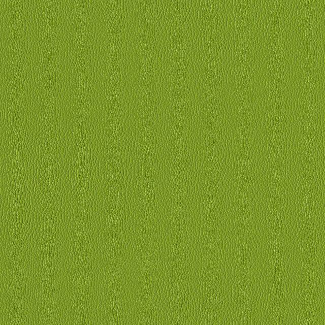 Designtex 3919-503 Lime
