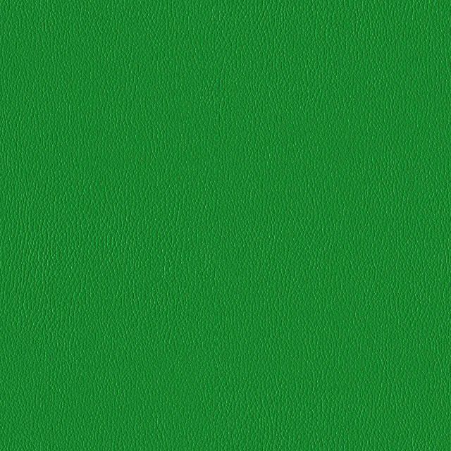 Designtex 3919-504 Leapfrog
