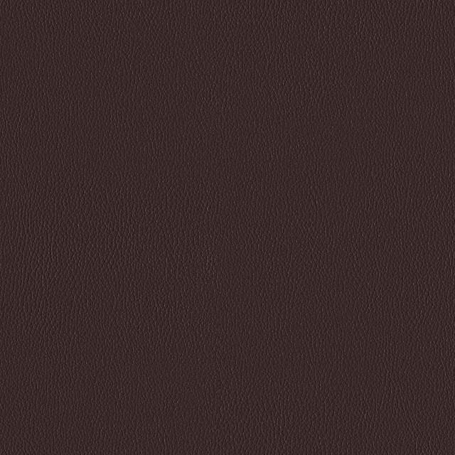 Designtex 3919-602 Tamarind