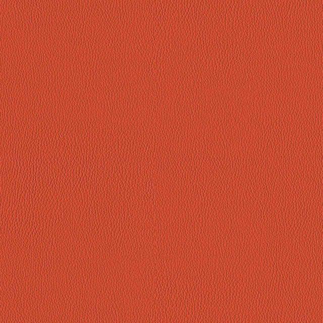 Designtex 3919-702 Field Poppy