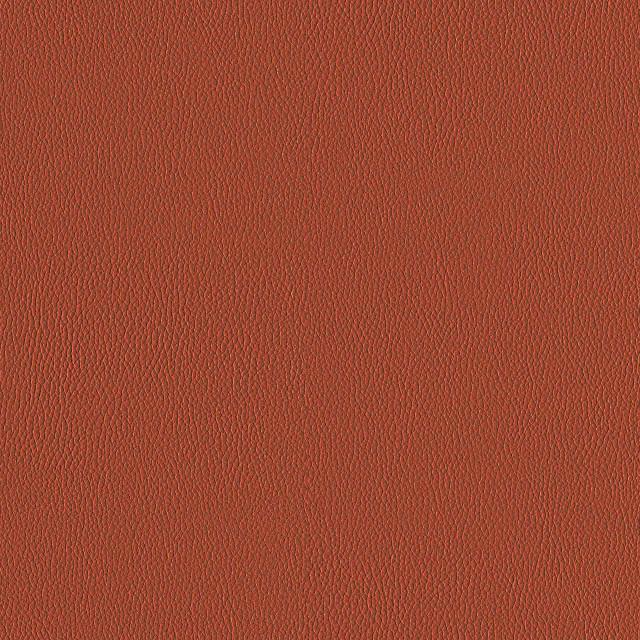 Designtex 3919-703 Clay シリコン