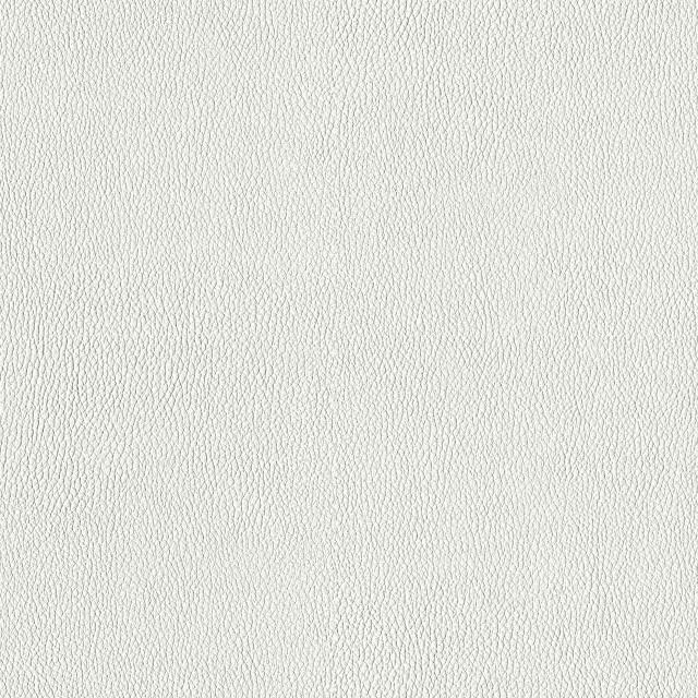 Designtex 3919-801 Vellum