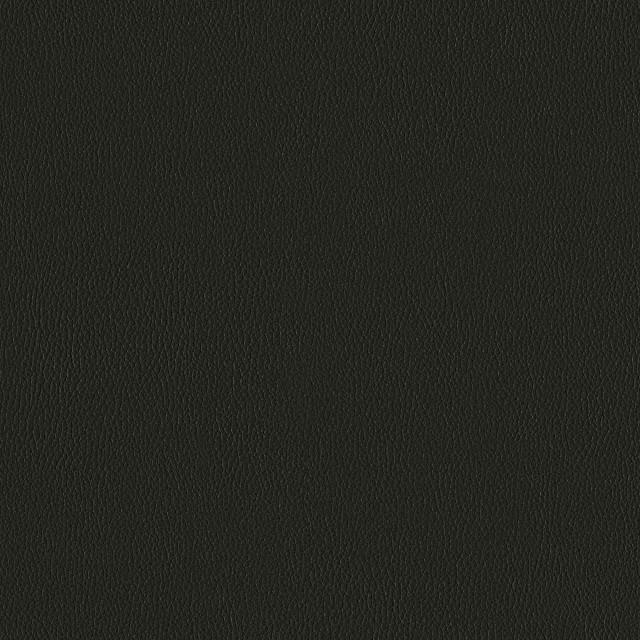 Designtex 3919-809 Blackout