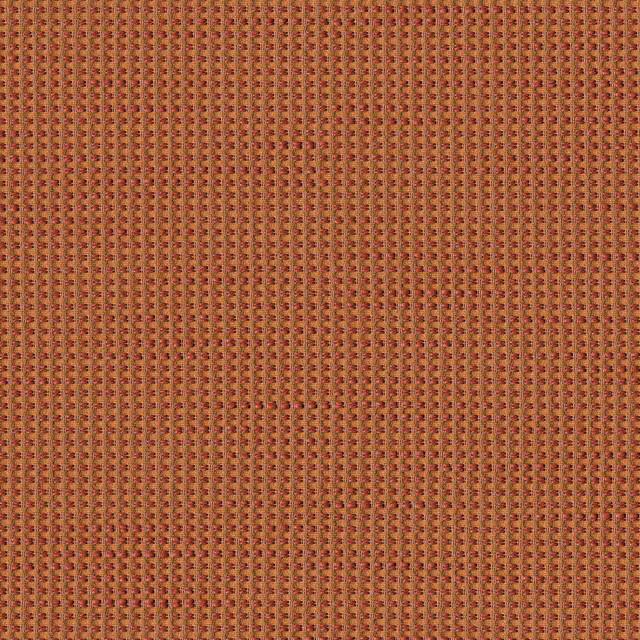Designtex 3946-702 Persimmon 混紡生地