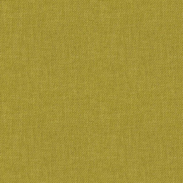 Designtex 3977-503 Olive