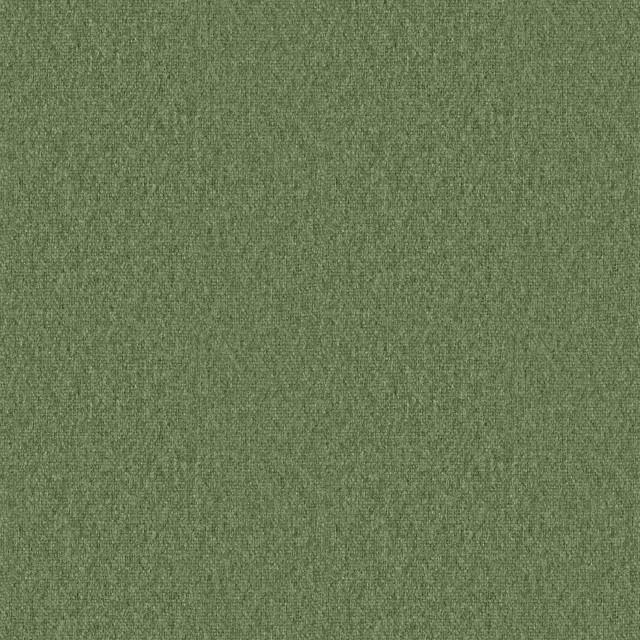 Designtex 4116-504 Olivine ポリエステル