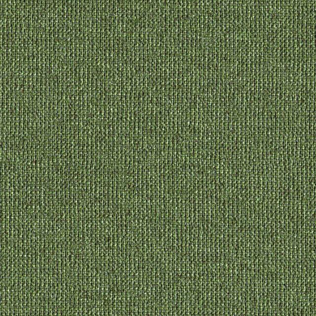 Designtex 4141-502 Leaf ポリエステル