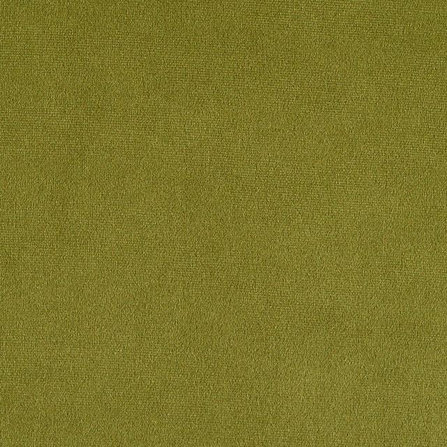 Designtex 4144-501 Fern Green
