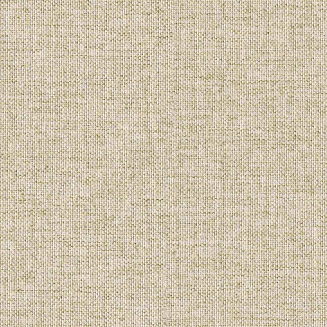 Designtex 4147-102 Shell