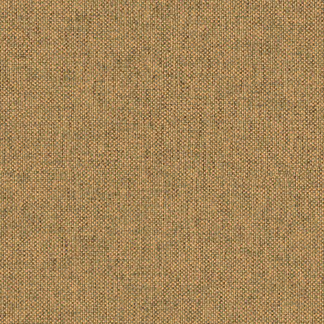 Designtex 4147-205 Acorn