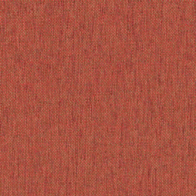 Designtex 4147-304 Cardinal ポリエステル