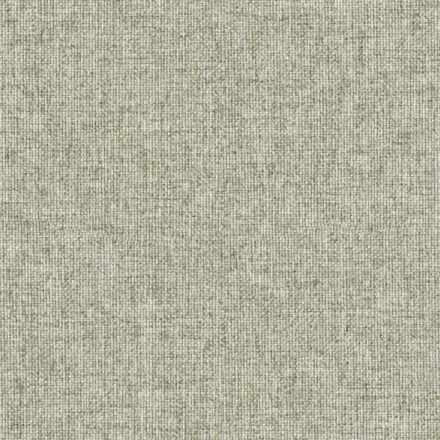 Designtex 4147-802 Nickel