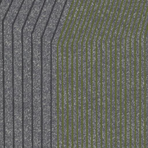 milliken EXPW202-13-153 Grid w Parrot ナイロン
