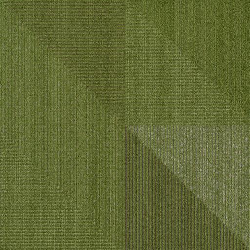 milliken PLU97-141 Parrot C