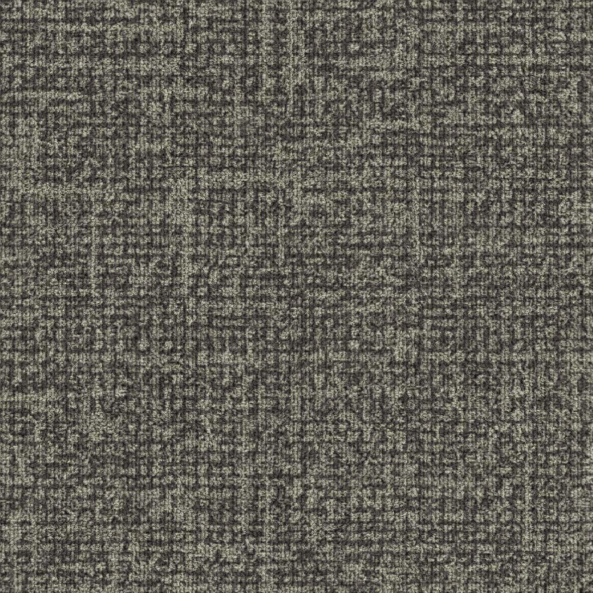 NEUFLOR EXPRESSION Fossil 05801