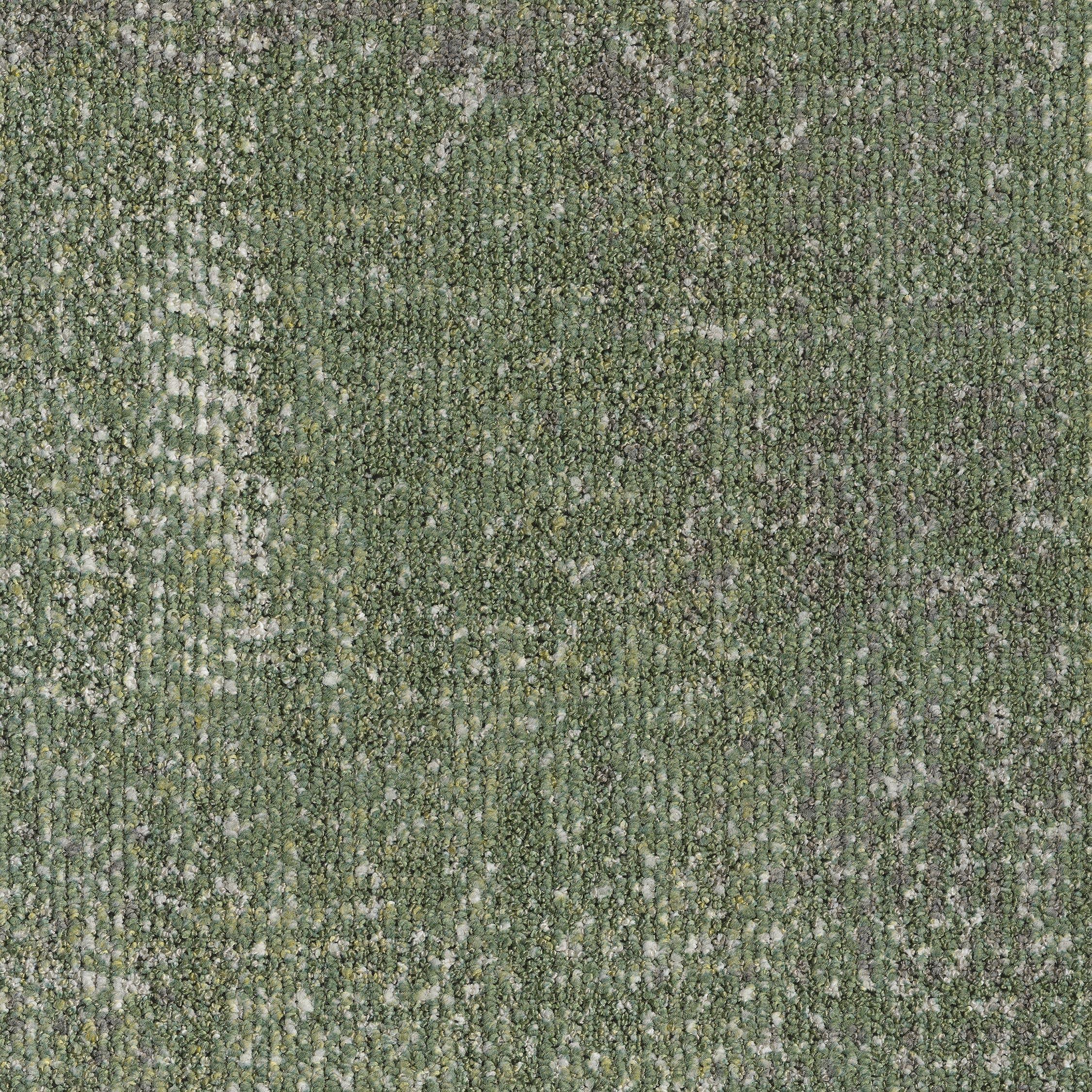 EGE REFORM TRANSITION FIBRE GREEN 5500