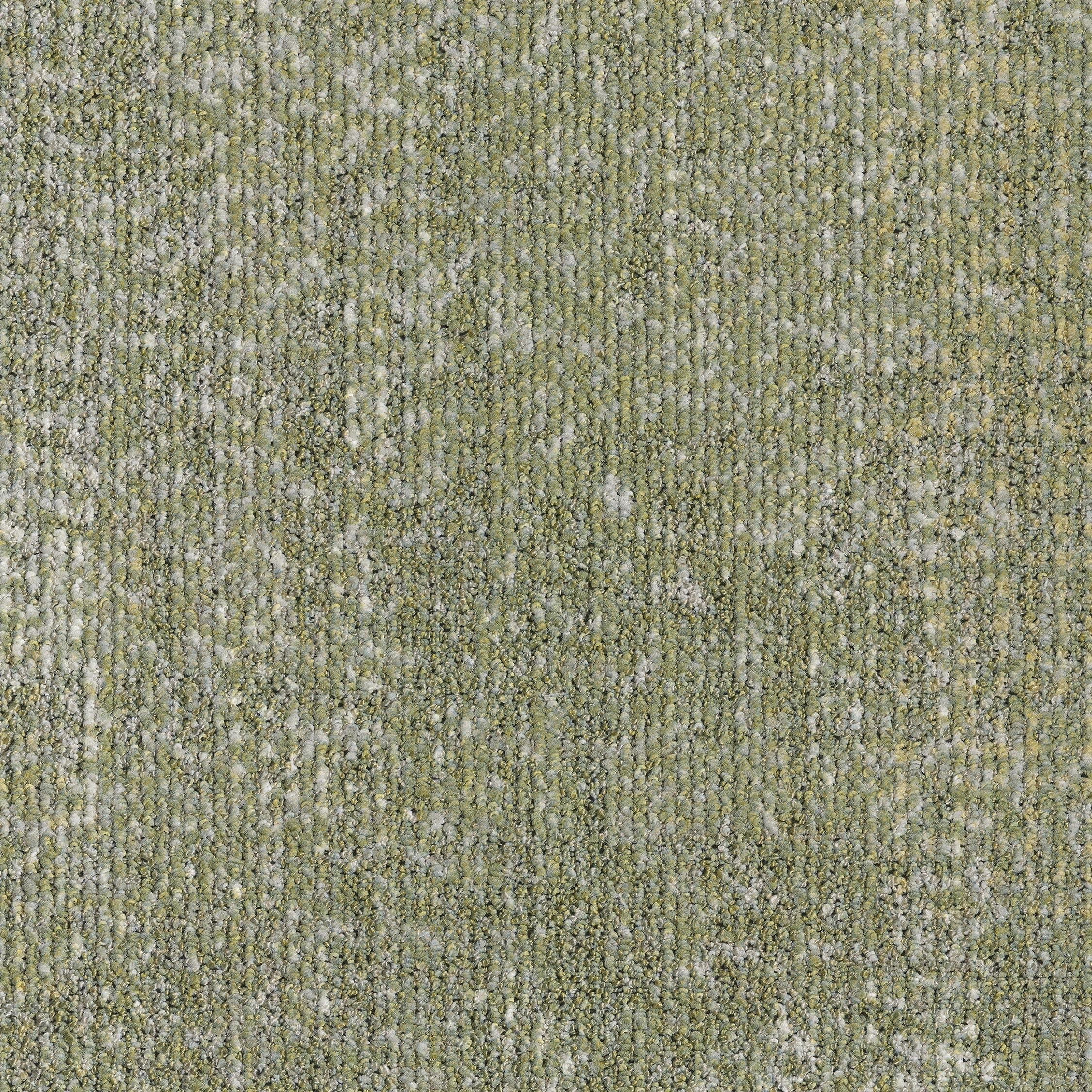 EGE REFORM TRANSITION FIBRE LIGHT GREEN 5500