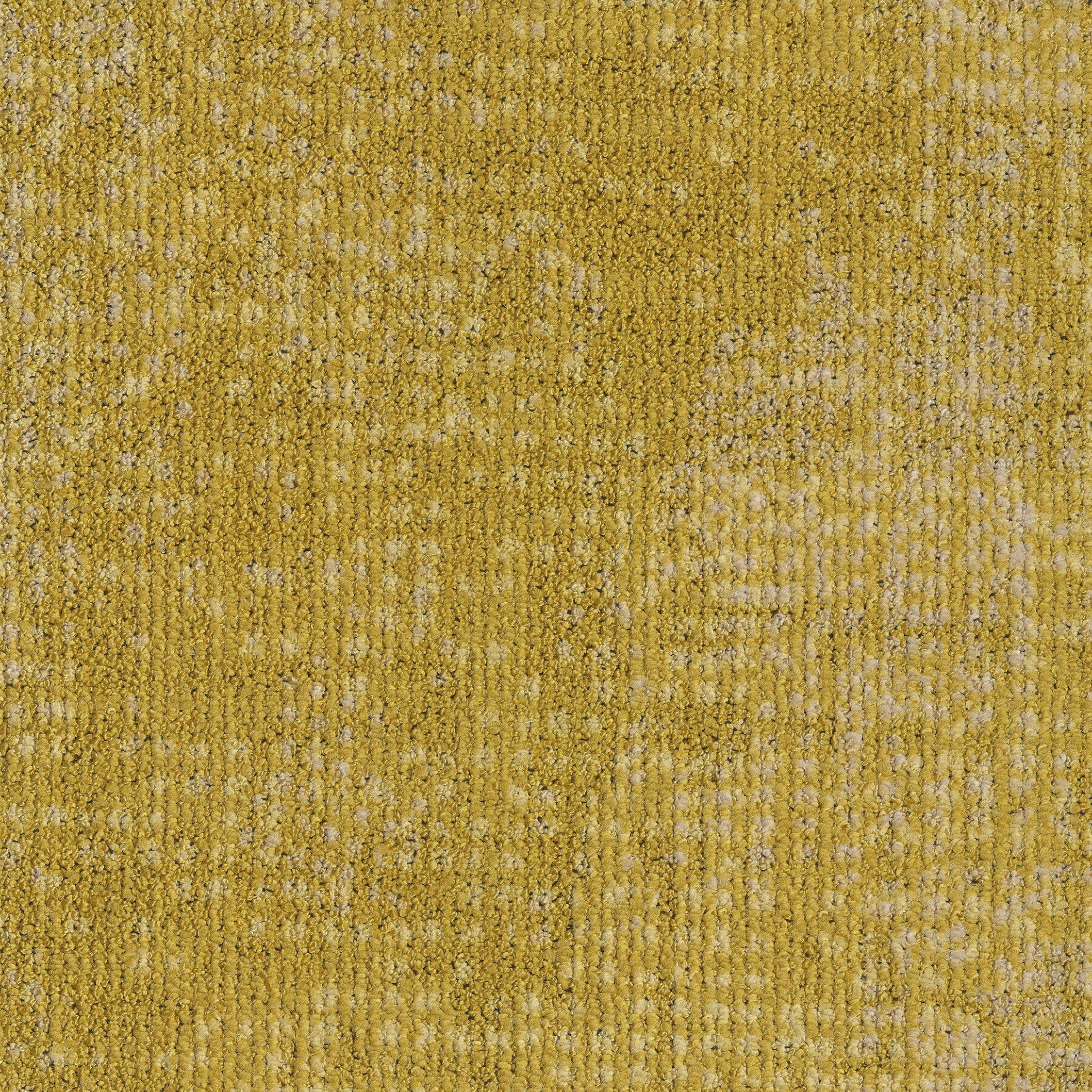 EGE REFORM TRANSITION FIBRE YELLOW 5500