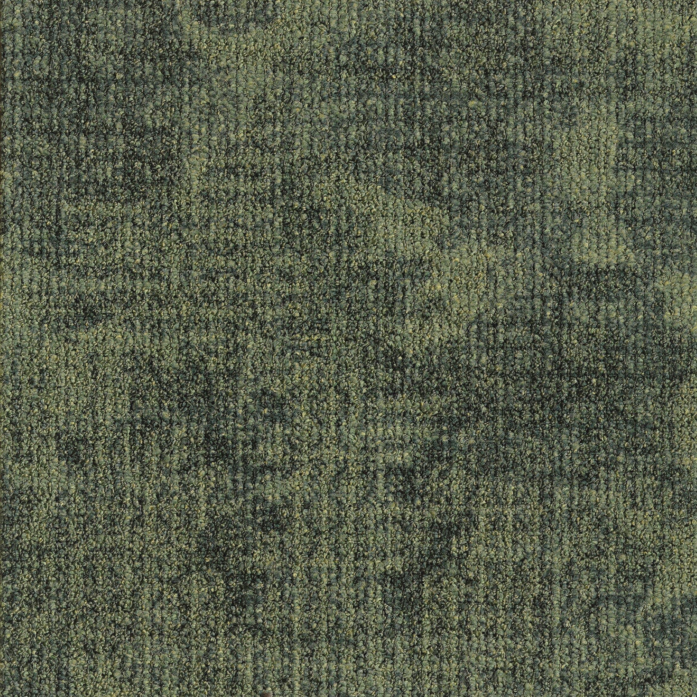 EGE REFORM TRANSITION LEAF FRESH GREEN 5500