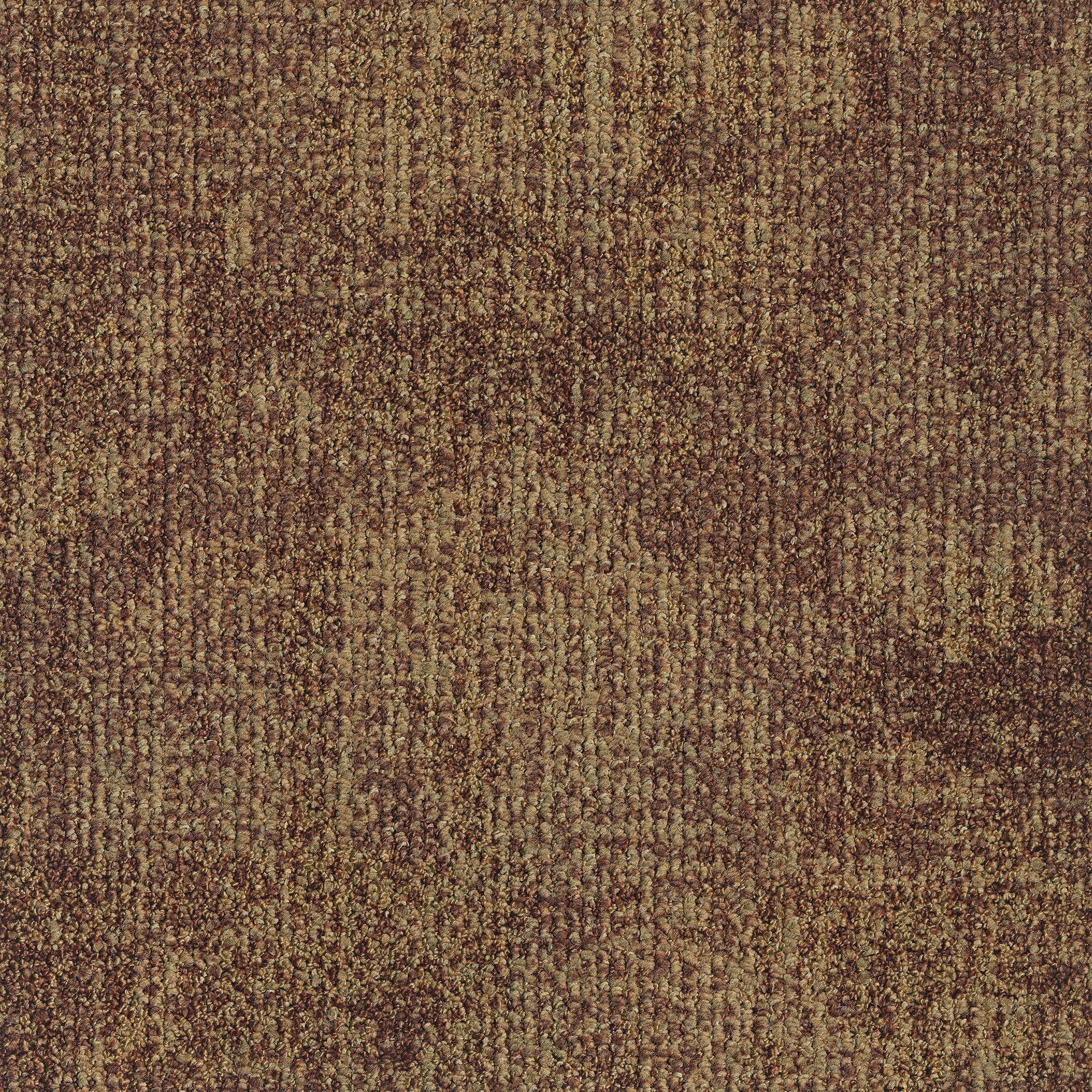 EGE REFORM TRANSITION LEAF GOLDEN 5595