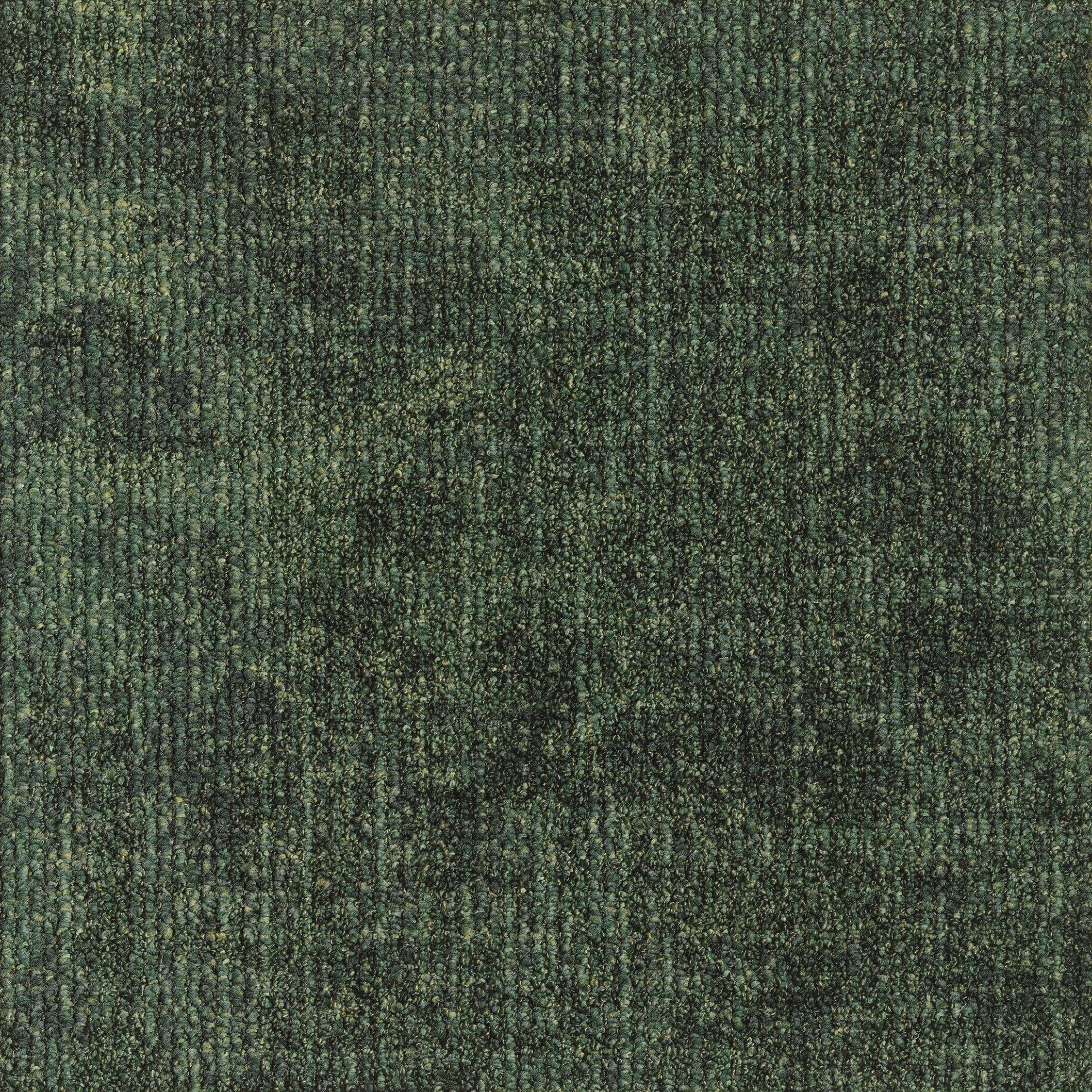 EGE REFORM TRANSITION LEAF GREEN 5500