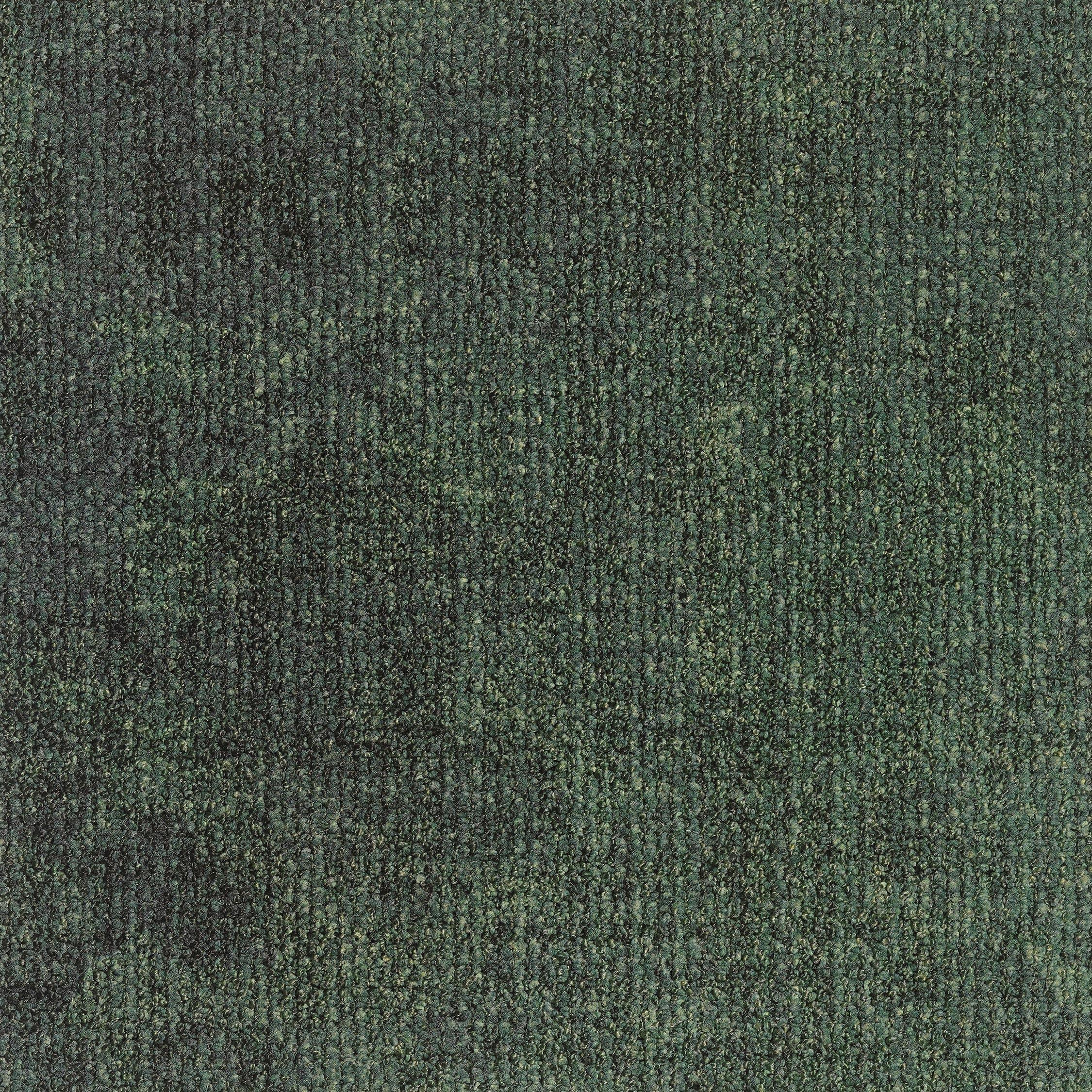 EGE REFORM TRANSITION MIX LEAF DARK GREEN GREEN 5500
