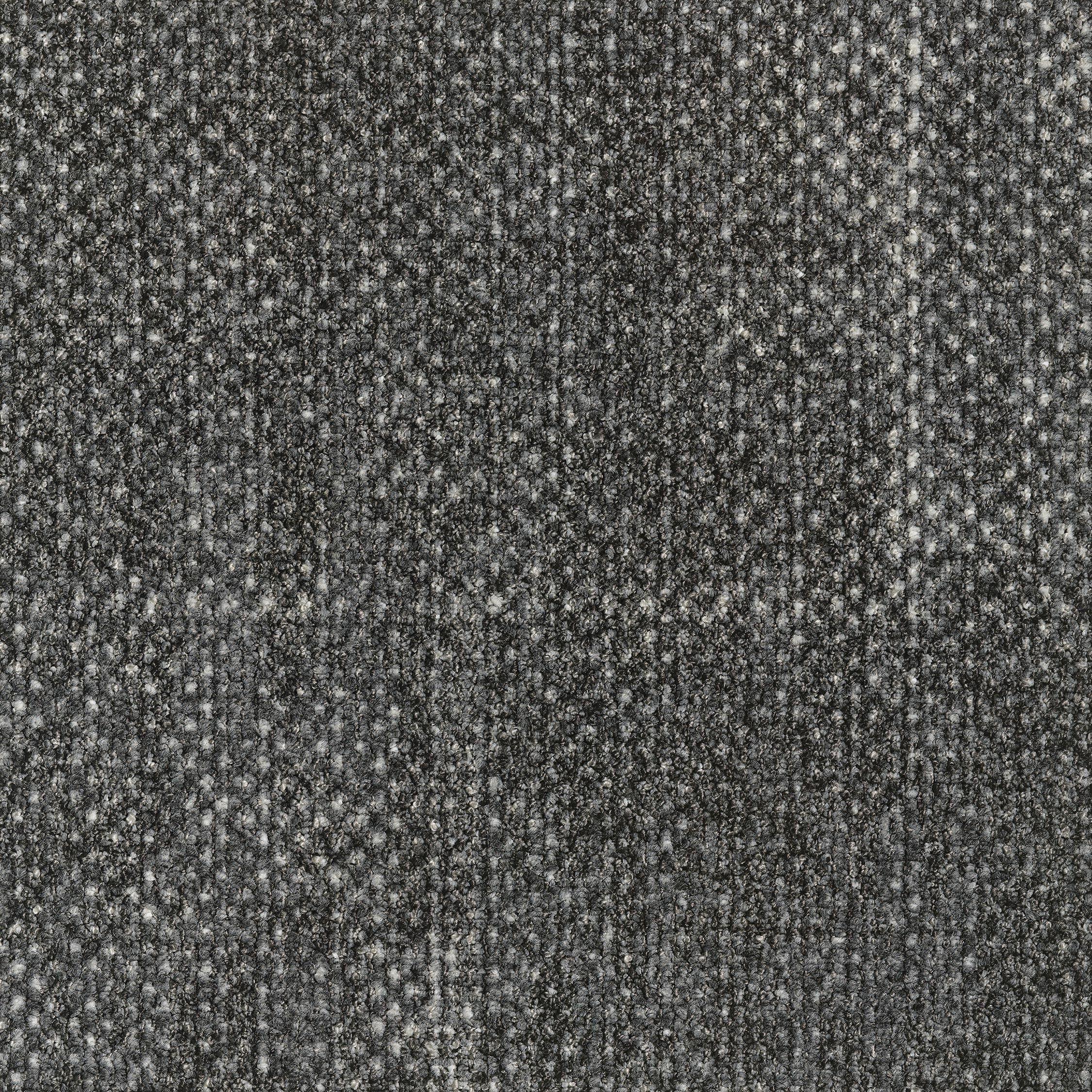 EGE REFORM TRANSITION SEED BLACK 5500