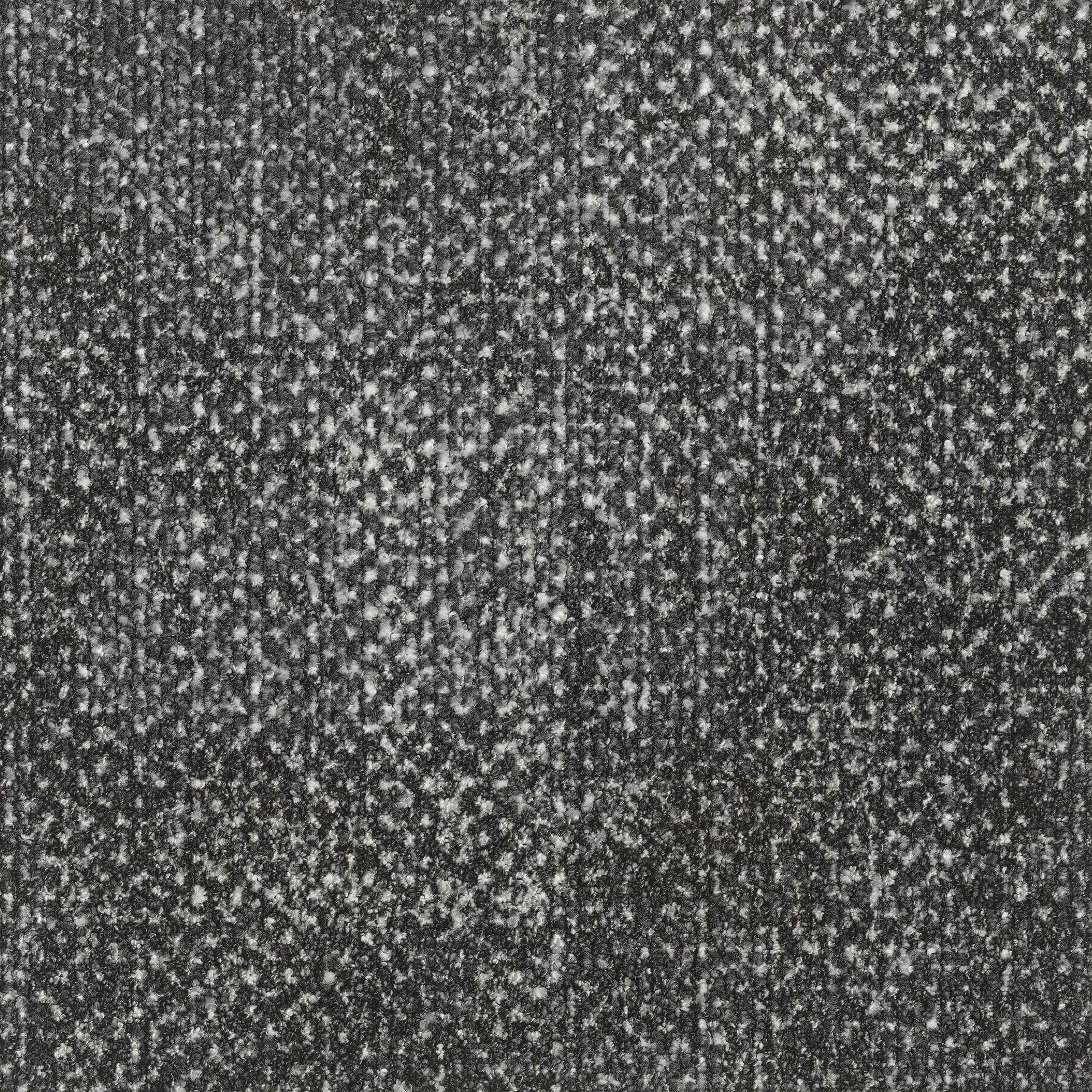 EGE REFORM TRANSITION SEED BLACK 5520