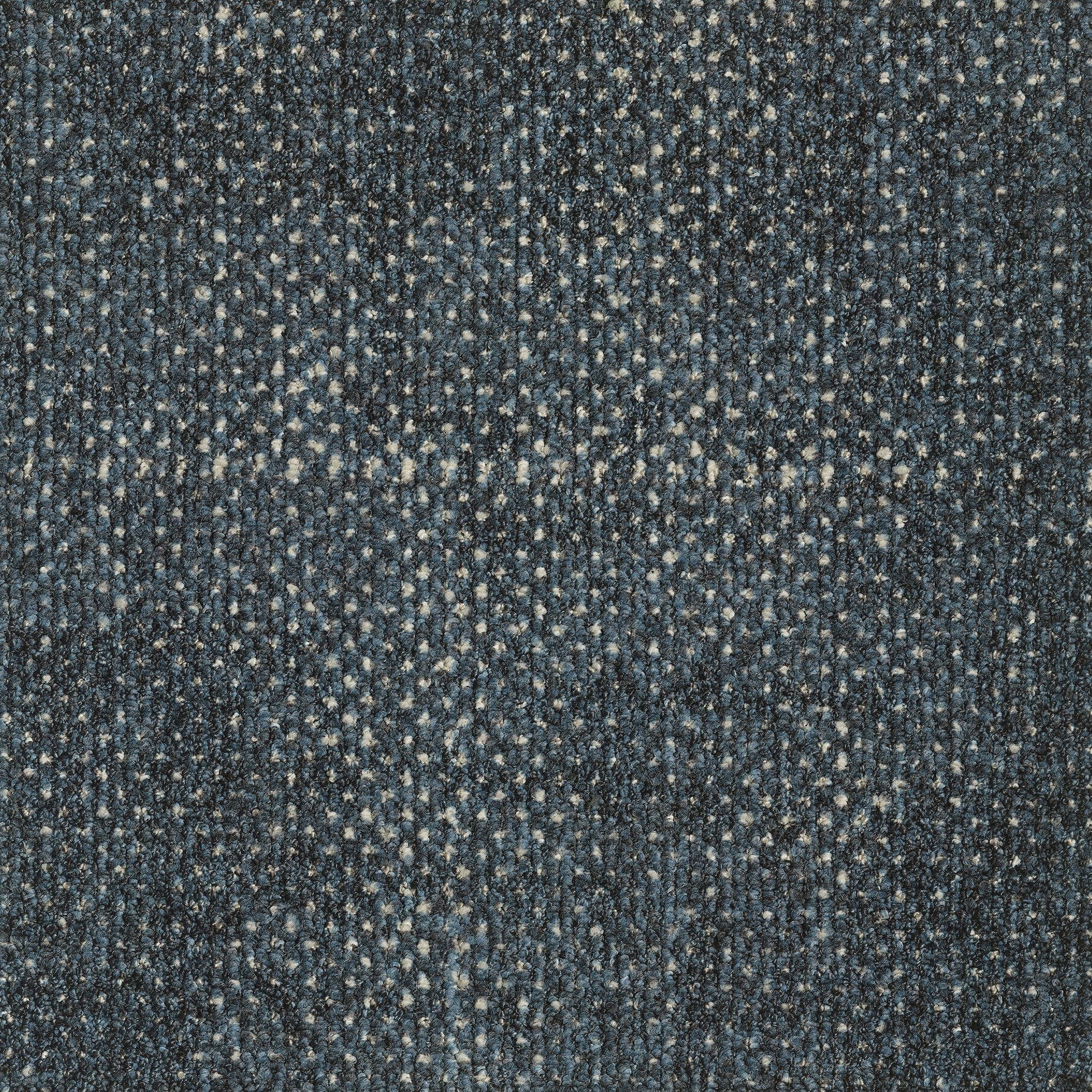 EGE REFORM TRANSITION SEED DARK BLUE 5595