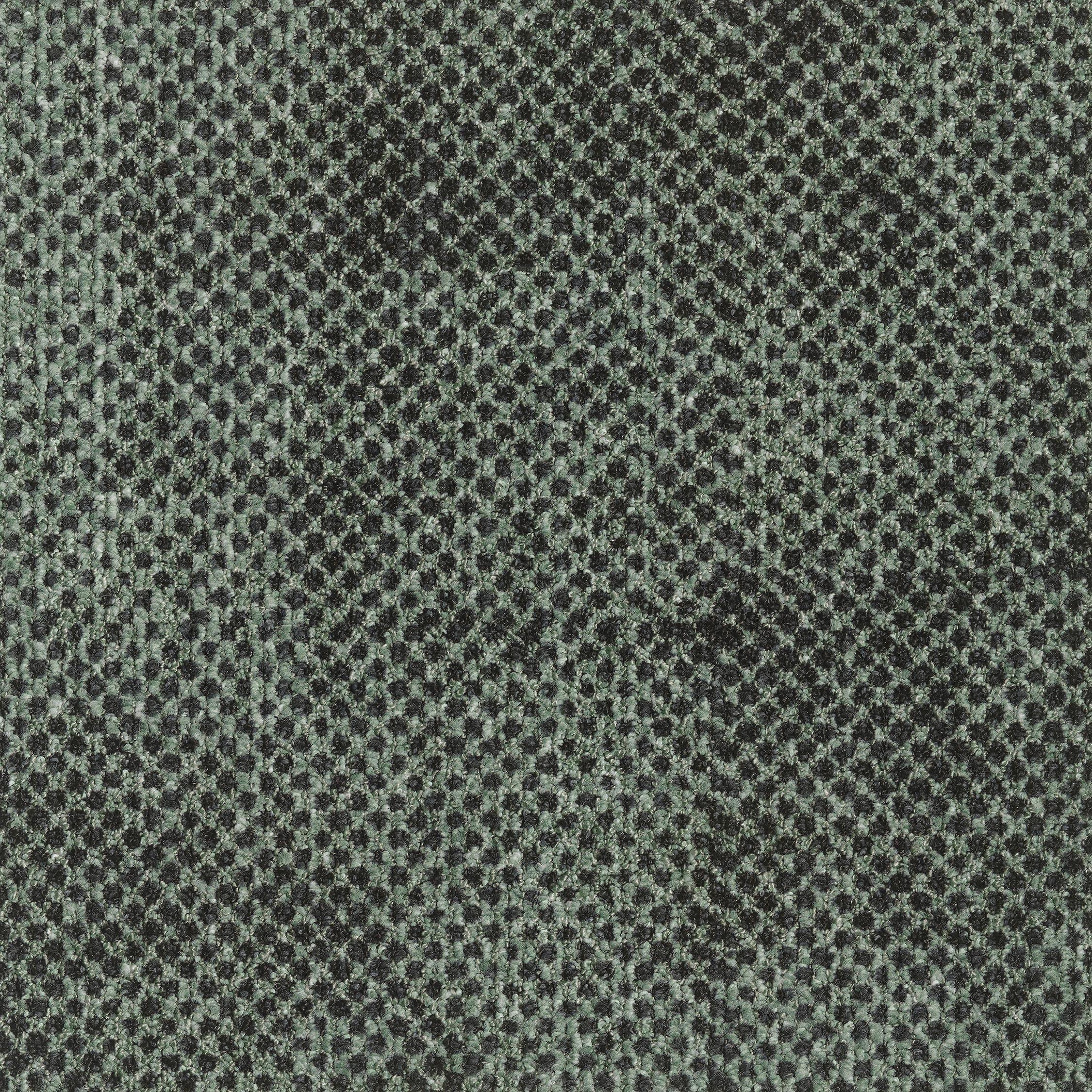 EGE REFORM TRANSITION SEED DARK GREEN 5520