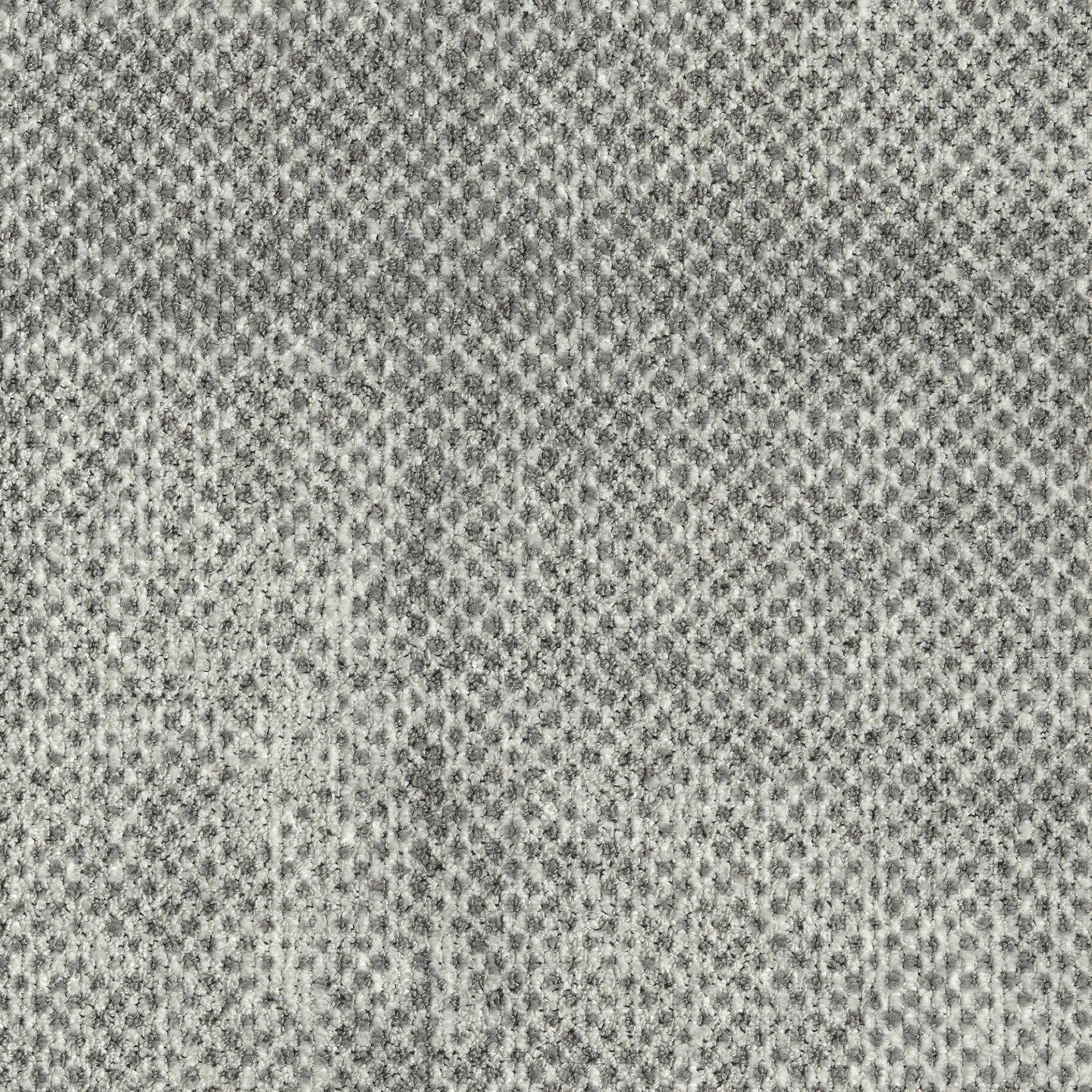 EGE REFORM TRANSITION SEED GREY 5520
