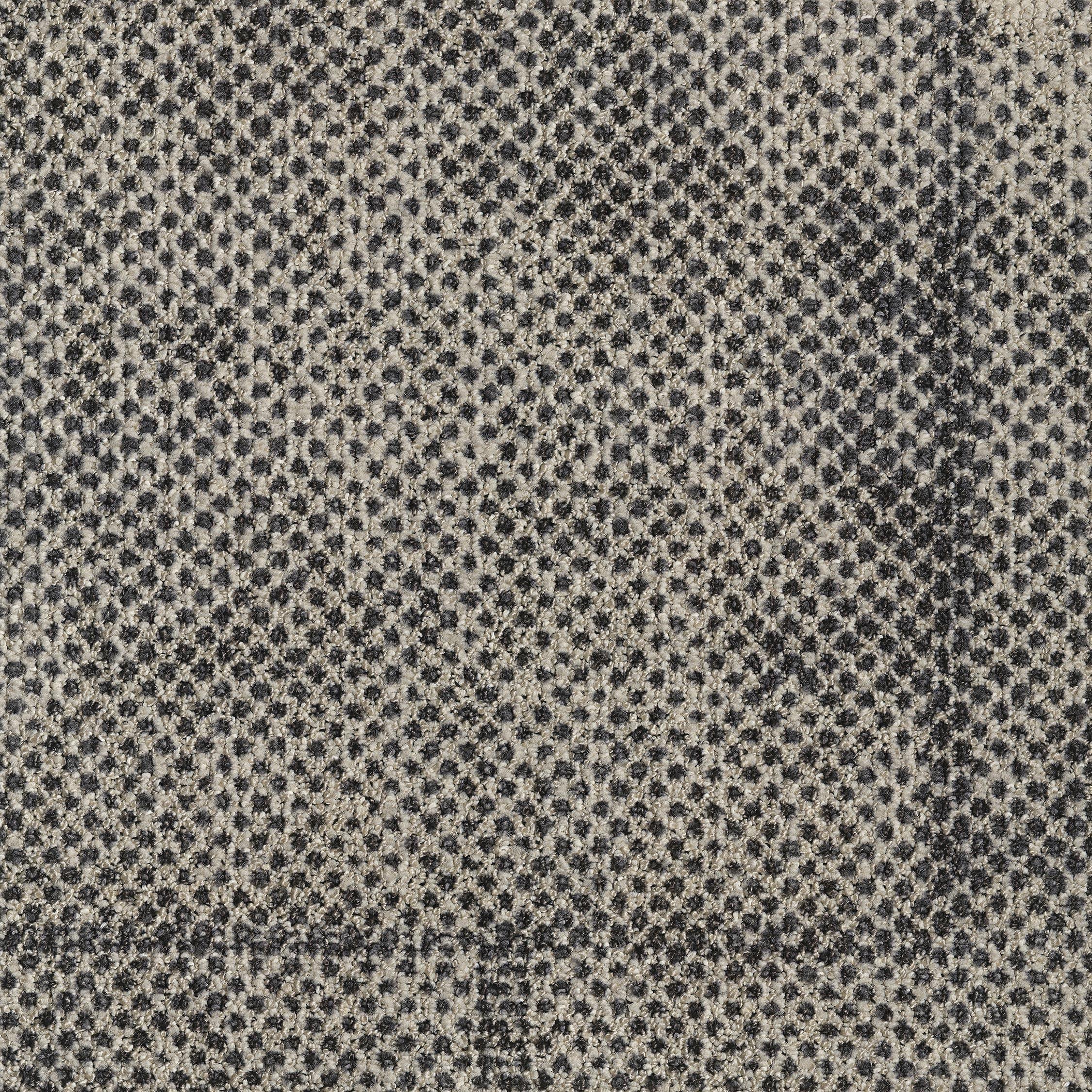 EGE REFORM TRANSITION SEED GREY 5595