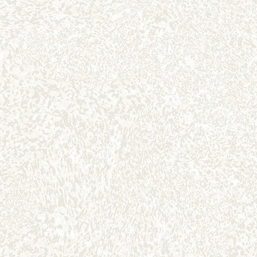 シンハン壁紙 2008—2 ルーベンス